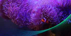 Heart of the Ocean