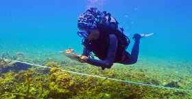 biodiversity conservation