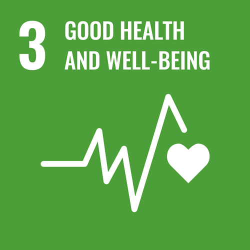 UN Sustainable Development Goal 3: Good Health and Well-Being logo.