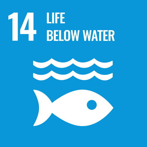 UN Sustainable Development Goal 14: Life Below Water logo.